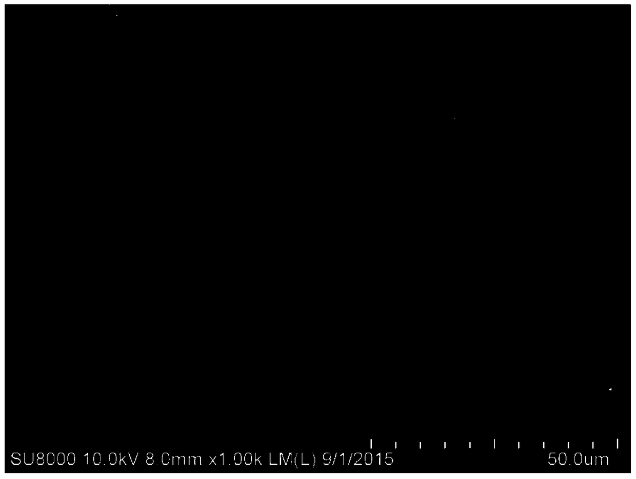 A nerve support for nerve injury repair, its preparation method and application