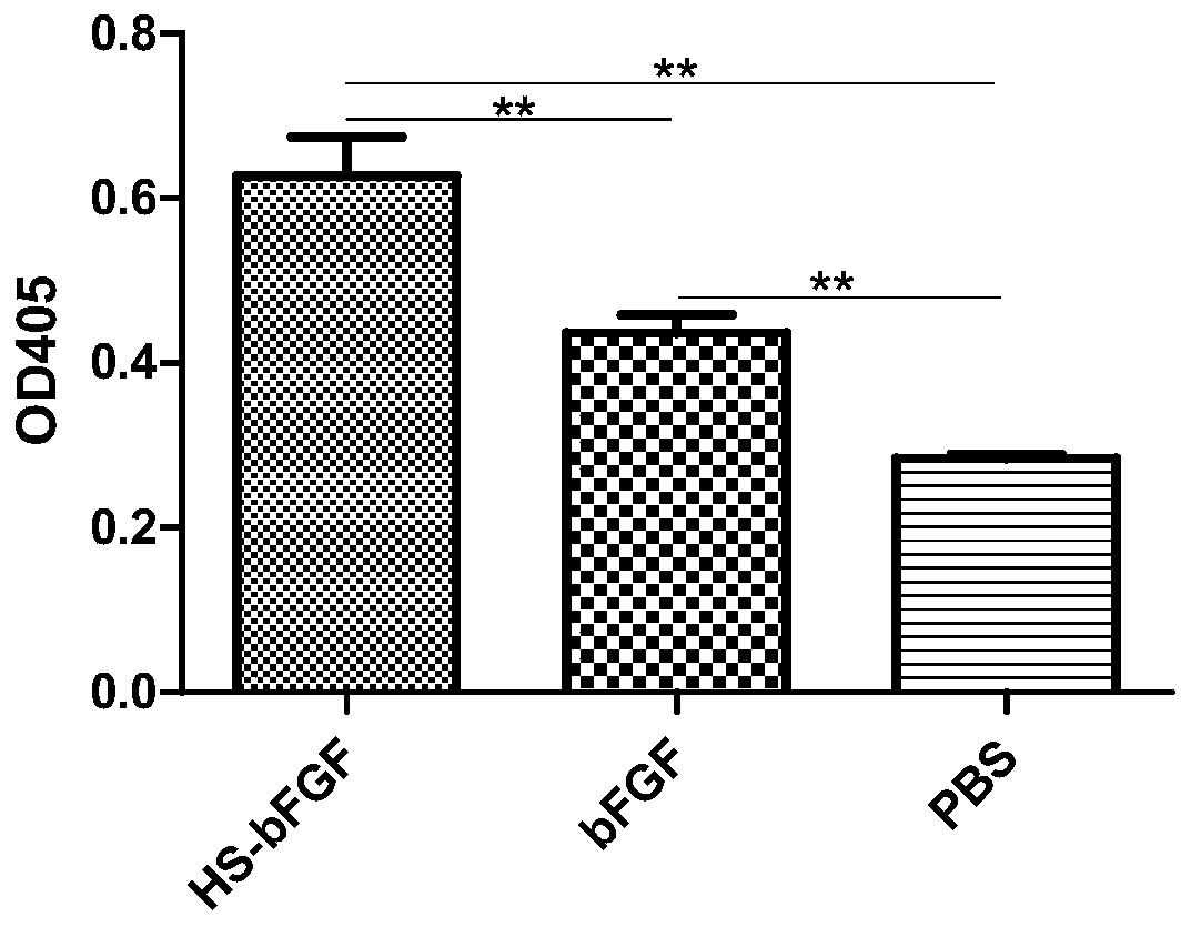 A nerve support for nerve injury repair, its preparation method and application