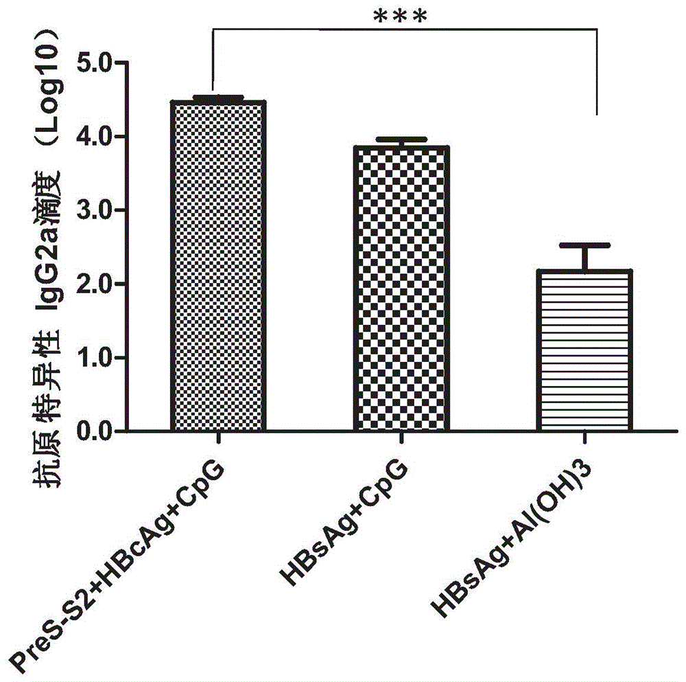 Therapeutic hepatitis B vaccine based on HBV PreS-S, C antigen and novel adjuvant CpG