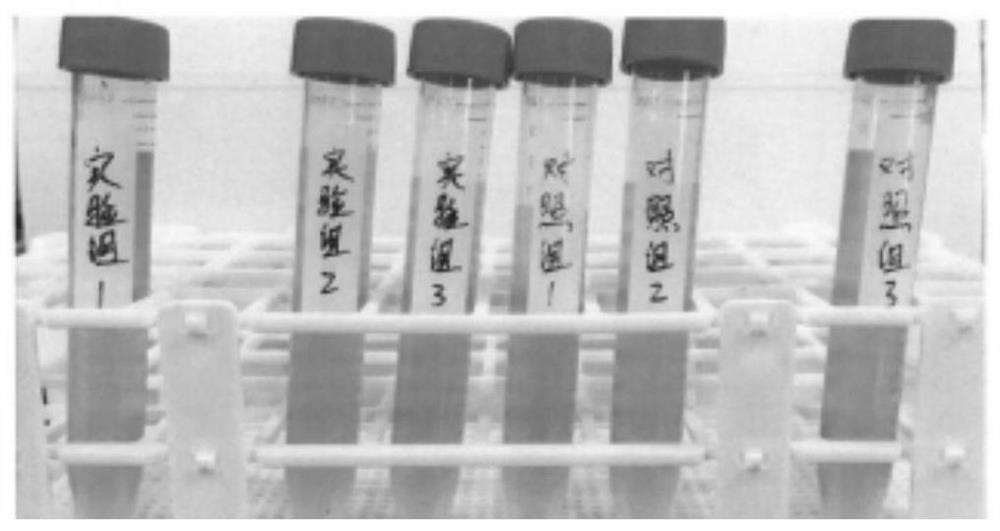 Sludge recycling method and biological water purification particles