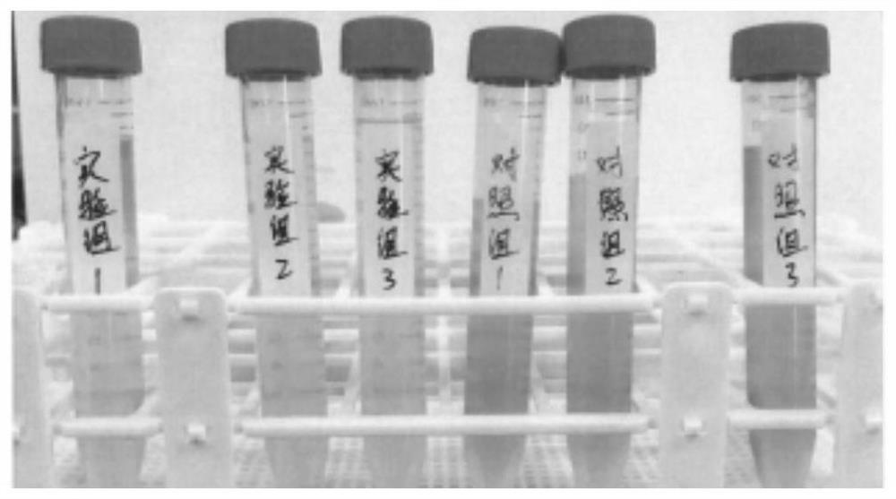 Sludge recycling method and biological water purification particles