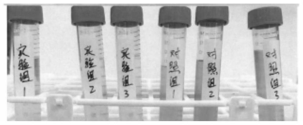 Sludge recycling method and biological water purification particles