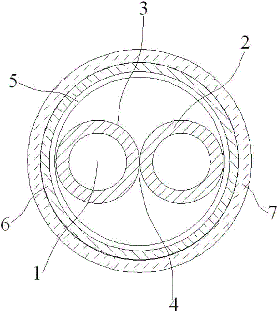 Overhead two-core user lead-in cable