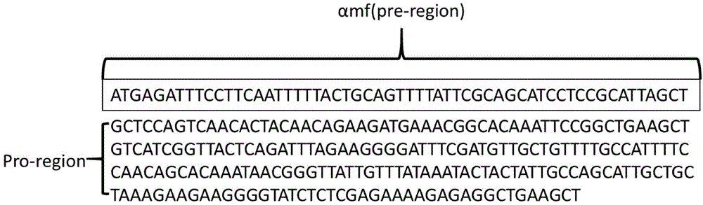 Method for optimizing signal peptide and improving exocytosis expression of trypsin