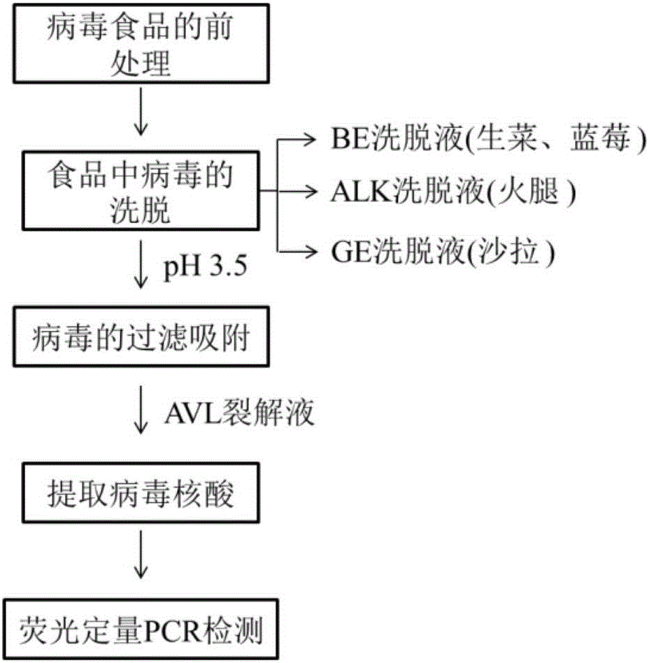 Method for detecting norovirus in food based on negatively charged membrane concentration