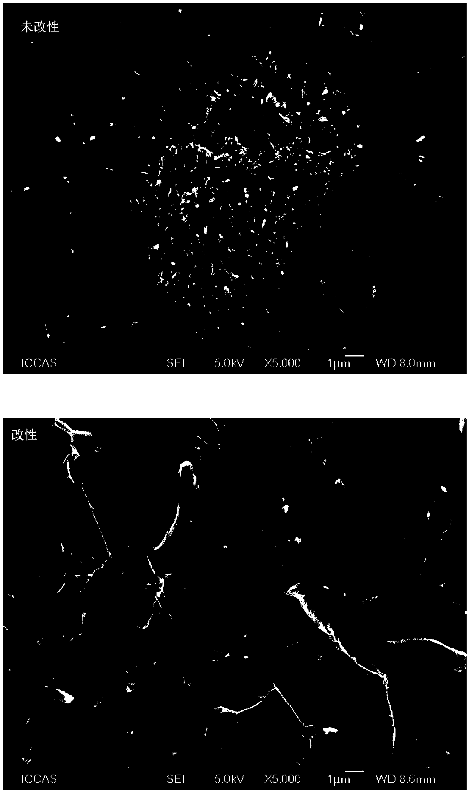 Surface modification treatment method of halloysite nanotube