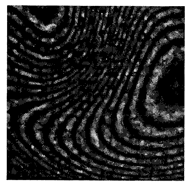 Electronic speckle interference fringe pattern filtering method