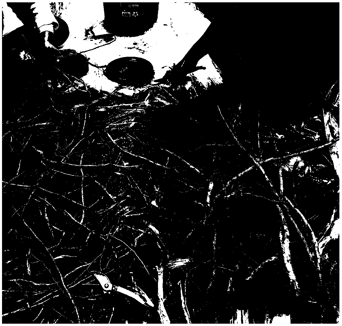 Reproduction method for raising seedlings by cutting by aid of root systems of lagerstroemia indica