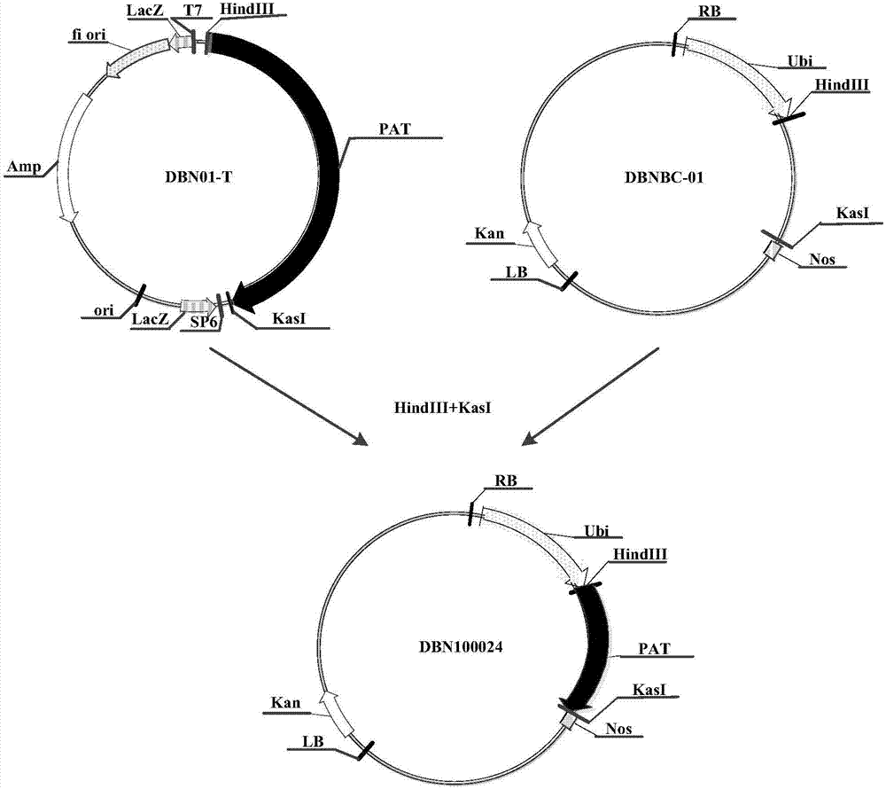 Soybean conversion method