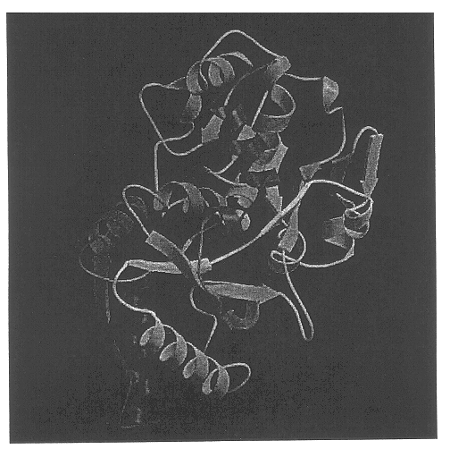 Recombinant human serum transferrins containing peptides for inducing apoptosis in HIV-1 infected cells