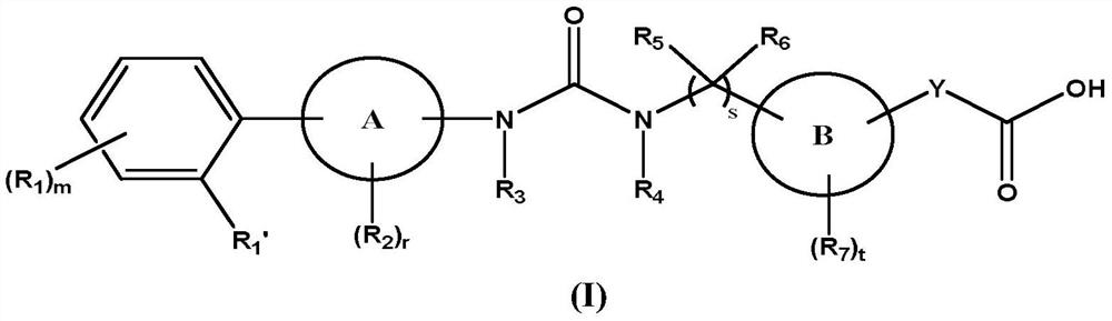 Biaryl urea carboxylic acid derivative or salt thereof, preparation method and use thereof