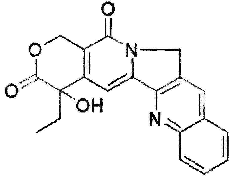 Camptothecin separation and purification method