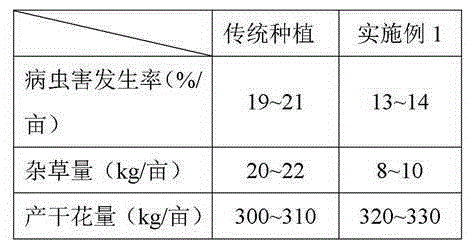 Method for improving disease resistance stability of Lonicera confusa dc