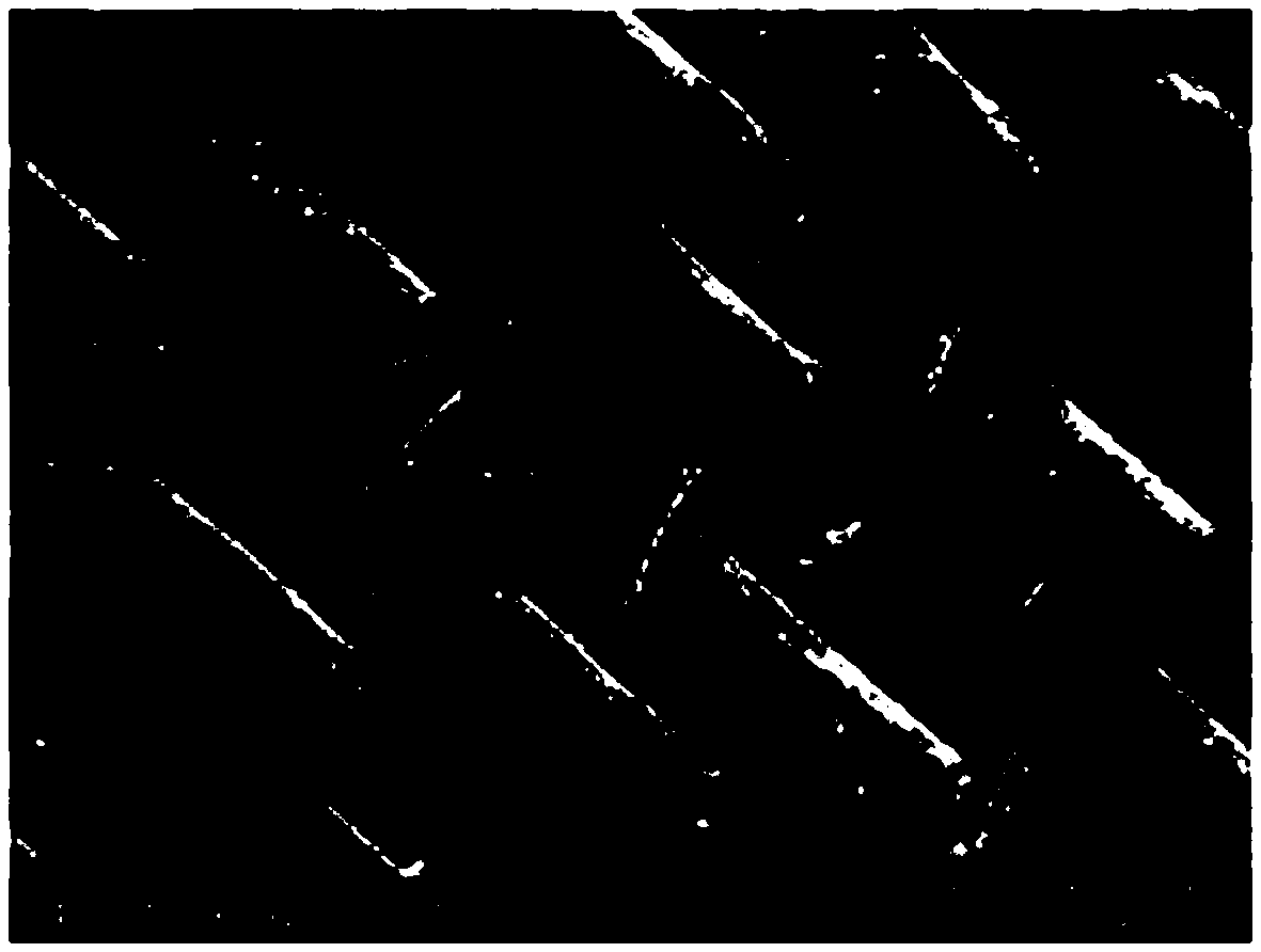 Method for manufacturing oil-water separation net with super-hydrophilic underwater super-oleophobic property