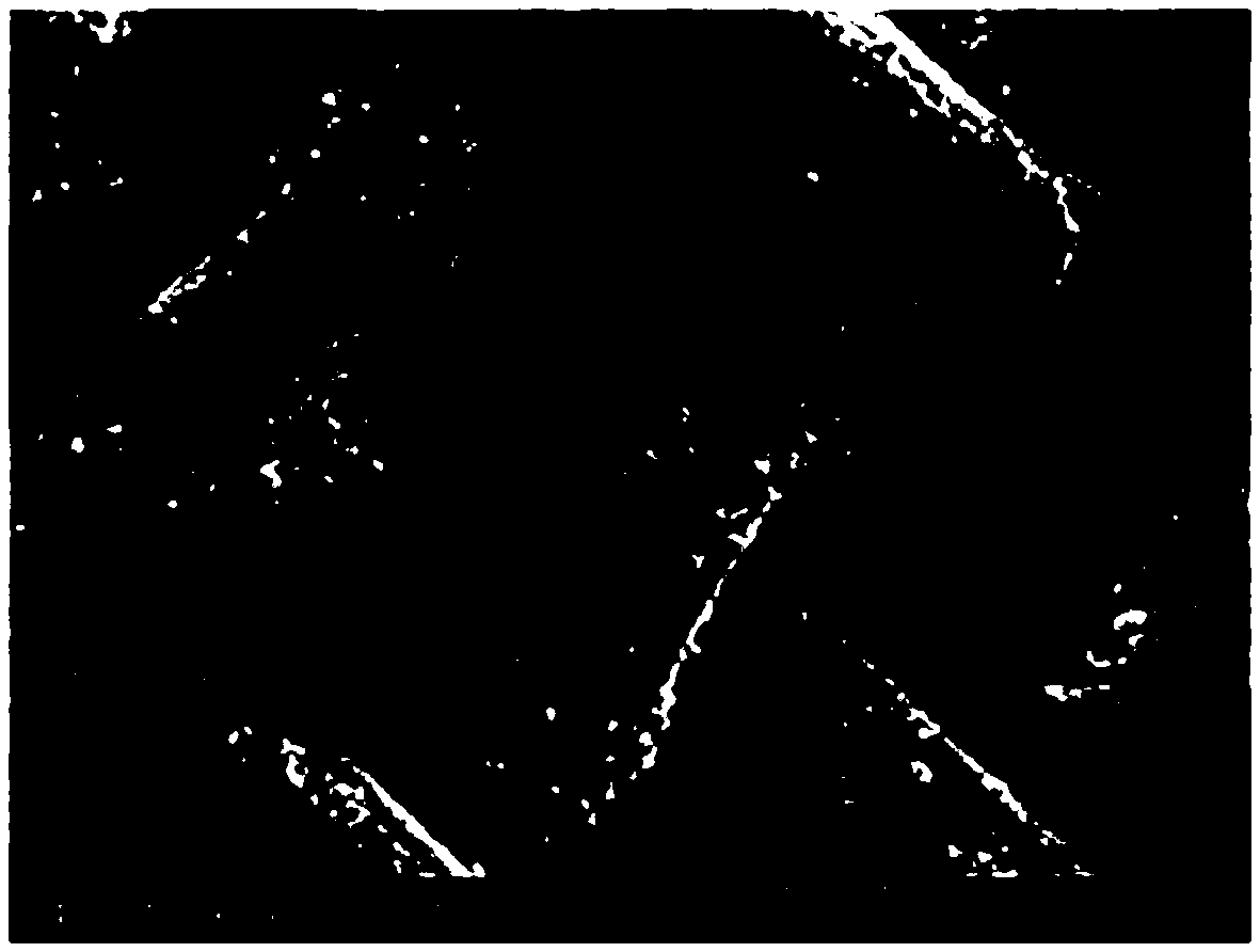 Method for manufacturing oil-water separation net with super-hydrophilic underwater super-oleophobic property