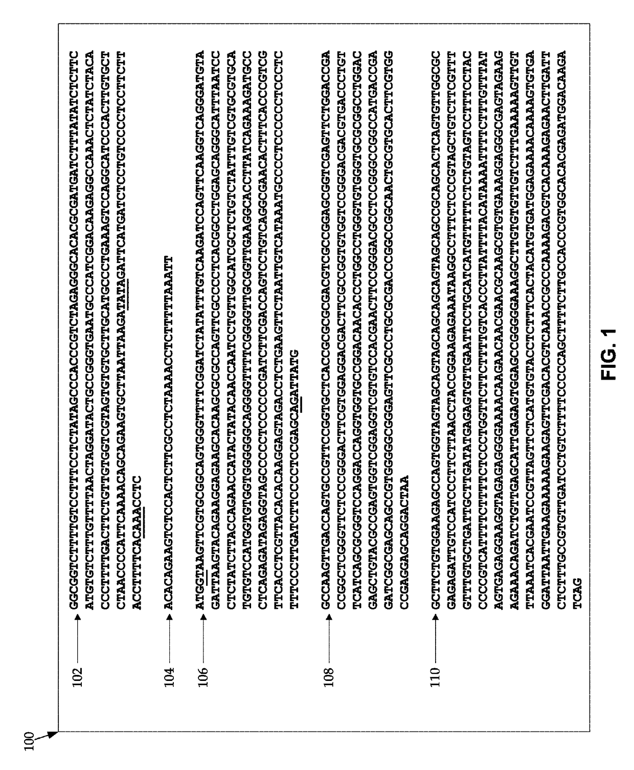 Transformation of algal cells