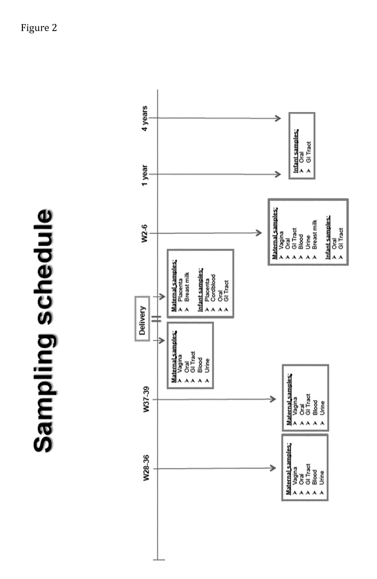 Neonatal Microbiome Supplementation