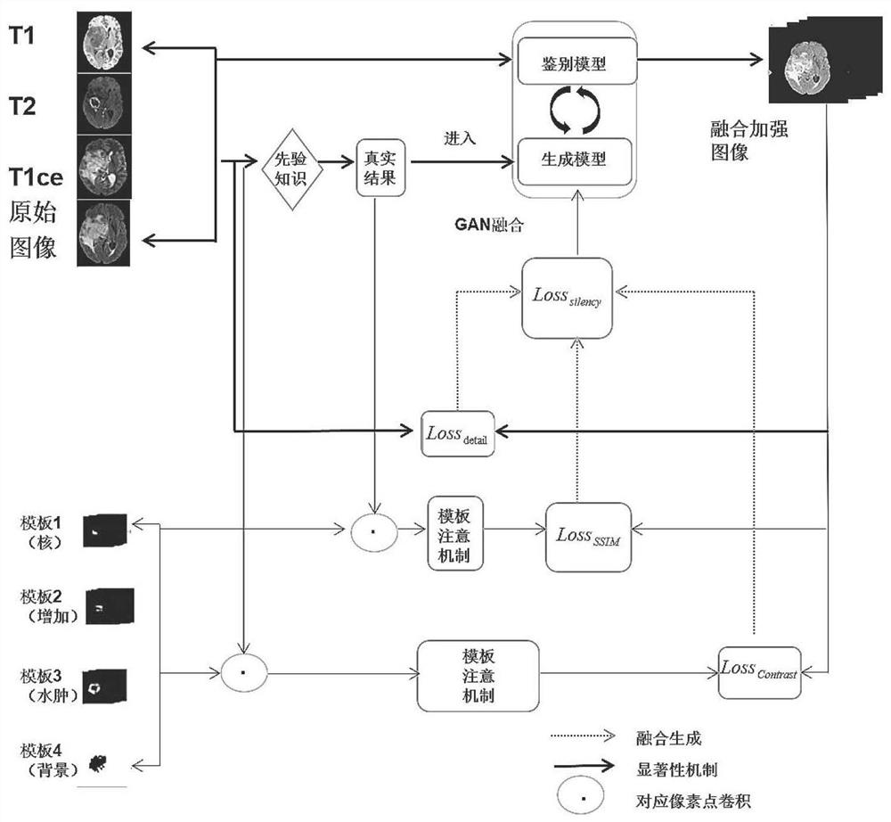 MRI tumor optimal segmentation method and system based on multi-modal image fusion