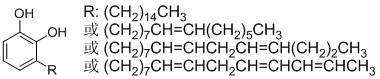 Preparation method for benzoxazine intermediate and synthetic resin of intermediate