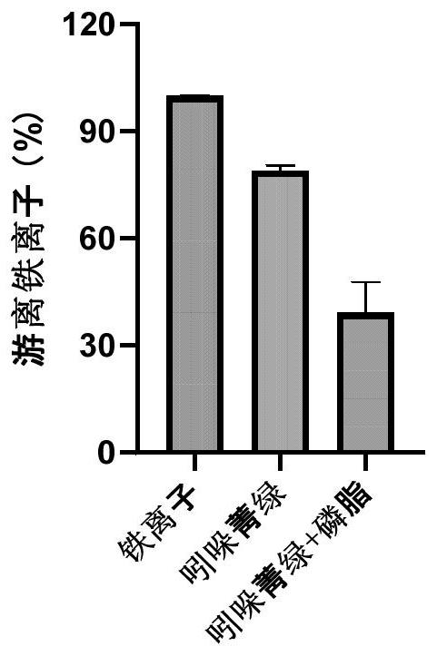 A kind of indocyanine green-phospholipid complex and its preparation method and application