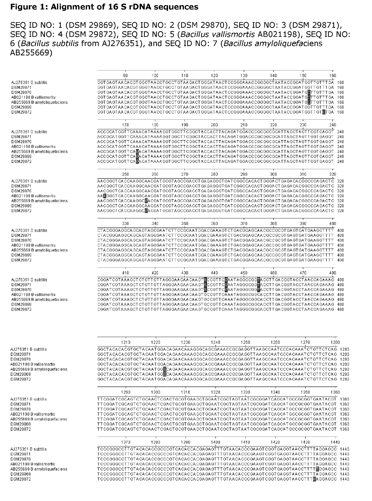 Bacillus Strains Improving Health and Performance of Production Animals