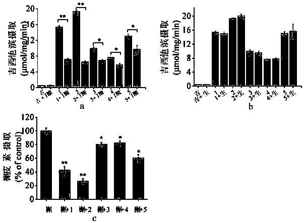 Prodrugs designed on basis of intestinal MCT1 (monocarboxylate transporter 1) carrier protein and preparation method of prodrugs