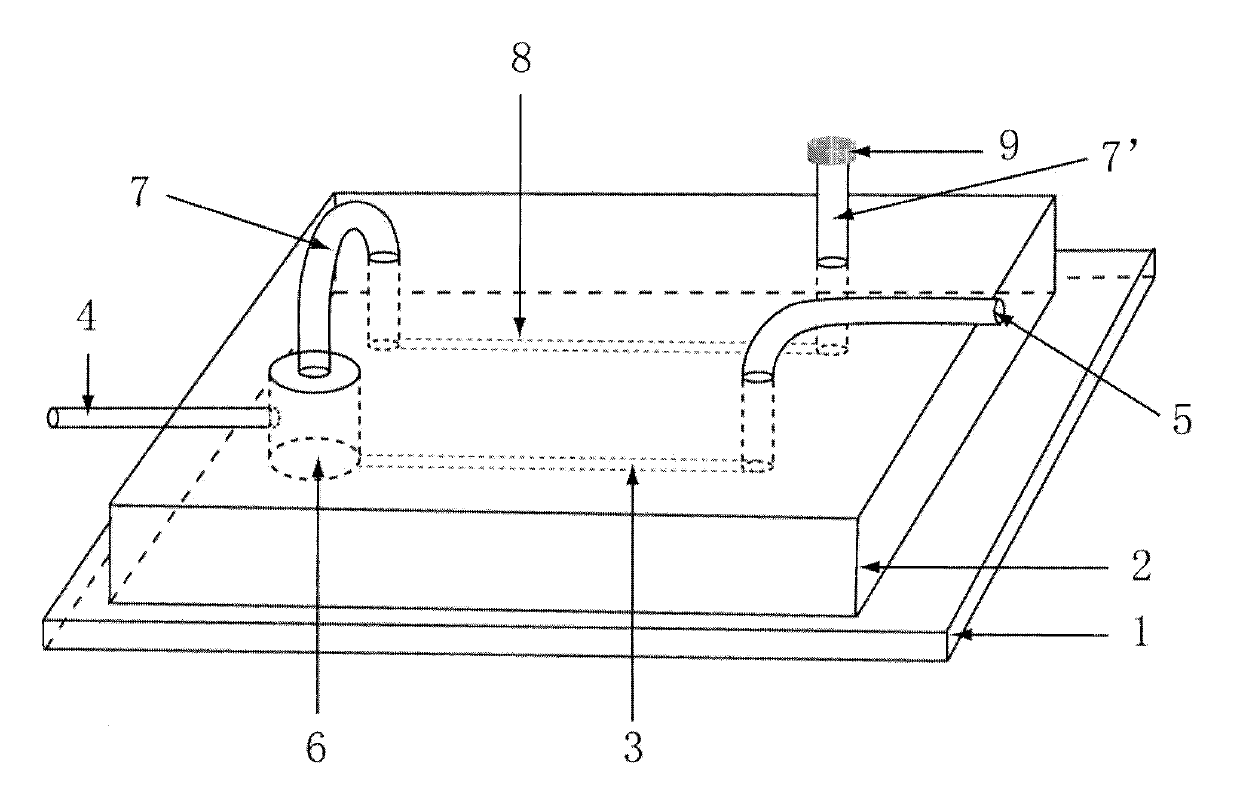 Bubble removing device used for microfluidic channel