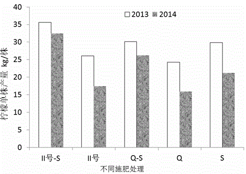 Bagasse bio-organic fertilizer and preparation method thereof