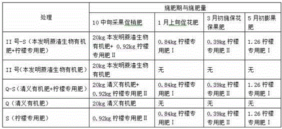 Bagasse bio-organic fertilizer and preparation method thereof