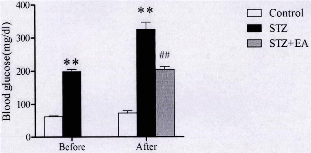 A kind of echinacea functional drink that assists in lowering blood sugar