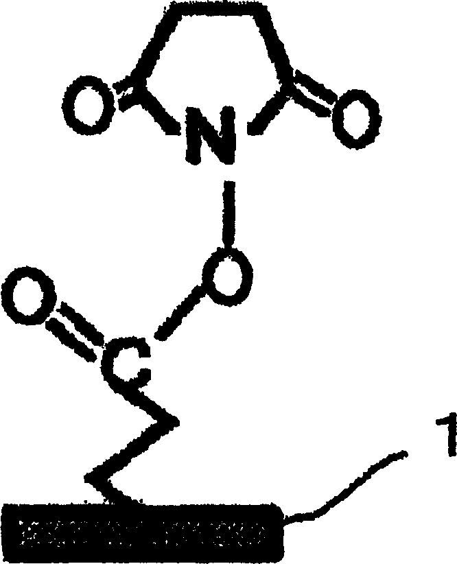 Substrate activation kit and method of detecting DNA or the like by using the same