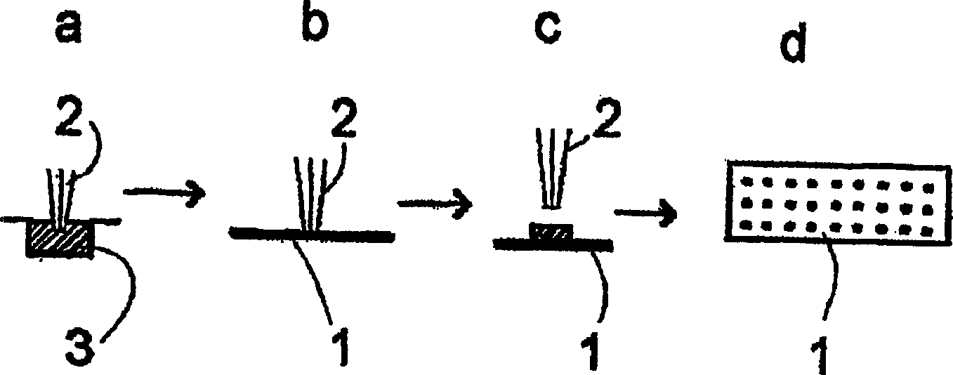 Substrate activation kit and method of detecting DNA or the like by using the same