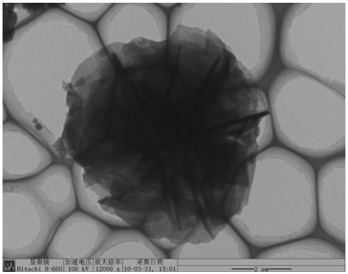 Preparation method of fullerene derivative film with micron flower shape