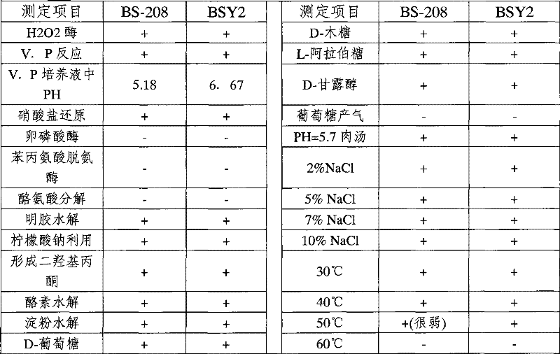 Bacillus subtilis, seed-dressing agent and use thereof