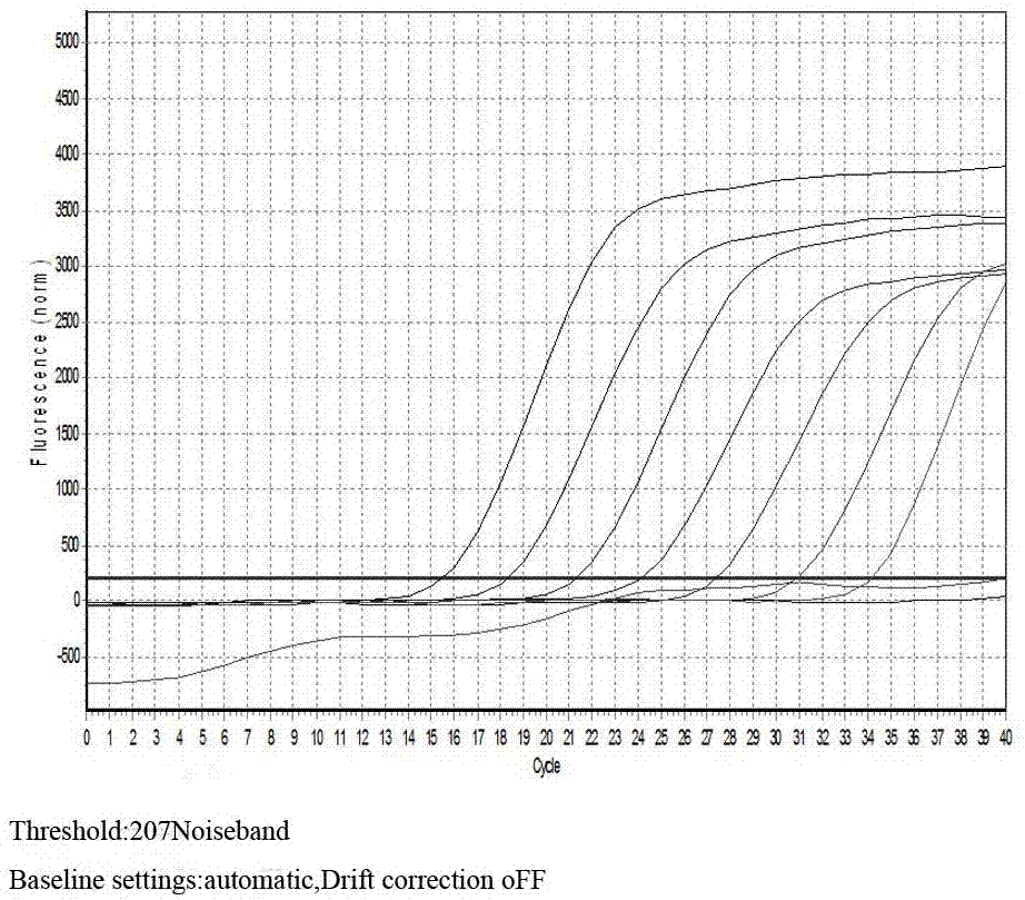 Primer for detecting sheep mycoplasma pneumoniae