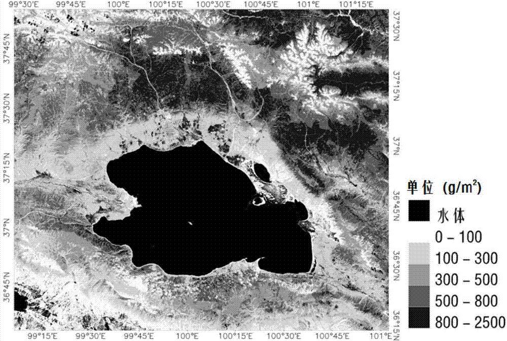 Grassland biomass remote sensing inversion method considering grassland height factor