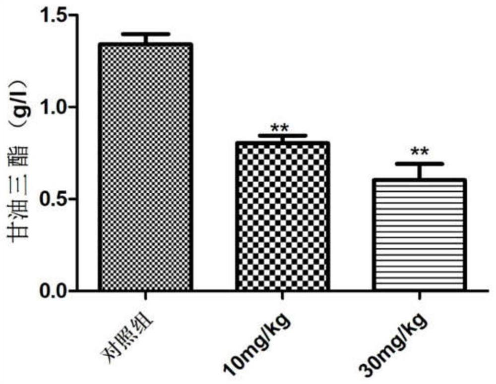 Benzo five-membered heterocyclic sulfonamide compound, and preparation method, pharmaceutical composition and application thereof