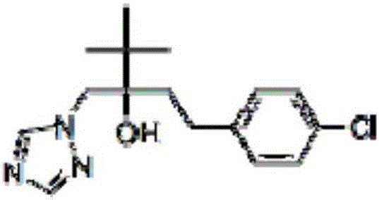 Bactericidal composition containing bixafen and propiconazole and application thereof