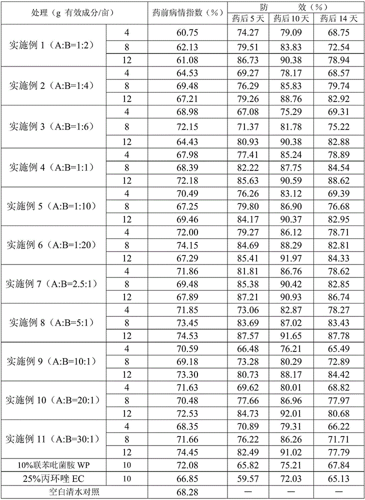 Bactericidal composition containing bixafen and propiconazole and application thereof