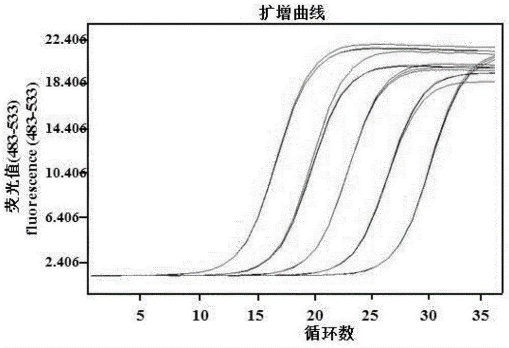 A Real-time Fluorescent Quantitative PCR Method for Detecting the Pathogenic Bacteria of Verticillium Wilt in Chinese Cabbage