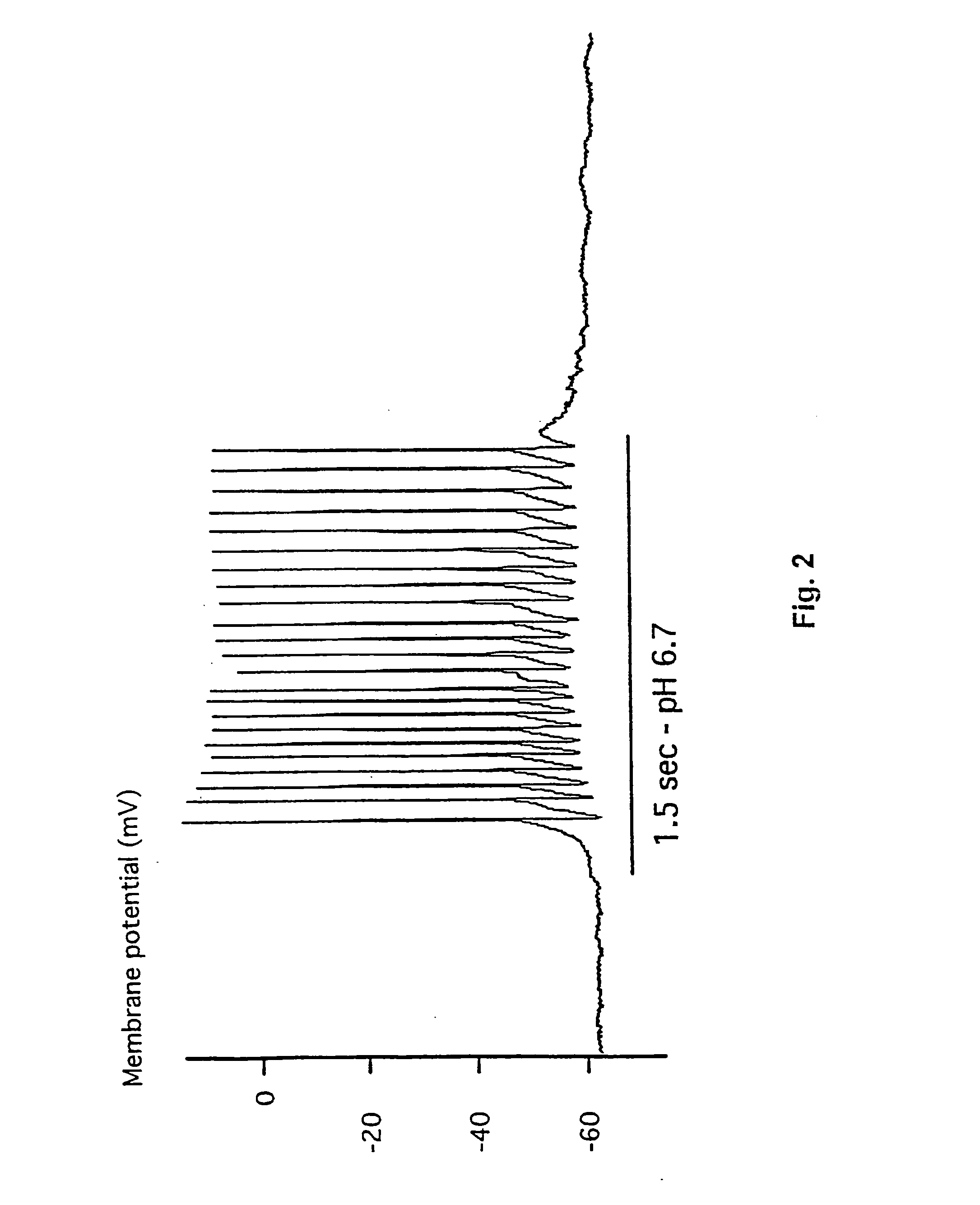 Inhibitors of proton-gated cation channels and their use in the treatment of ischaemic disorders