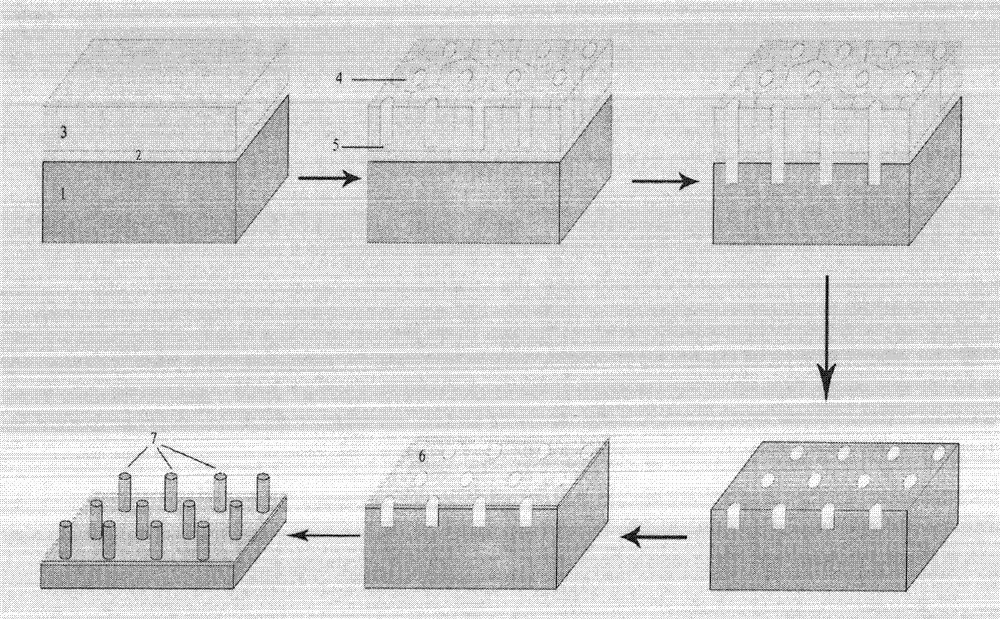 Preparation method for orderly silicon nanowire array