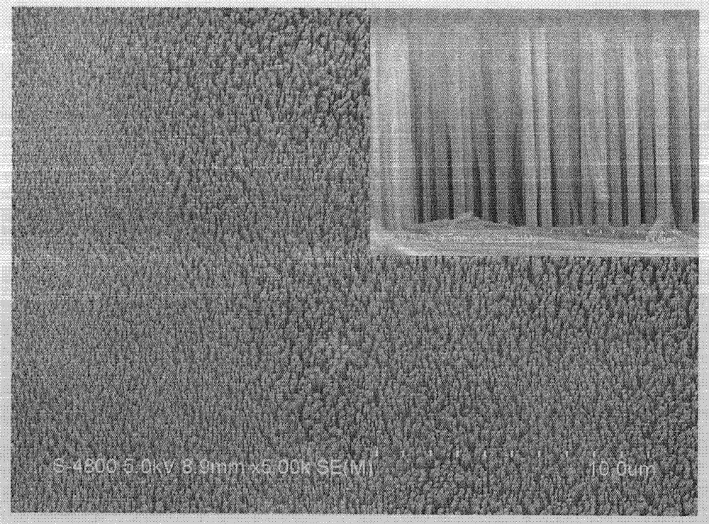 Preparation method for orderly silicon nanowire array