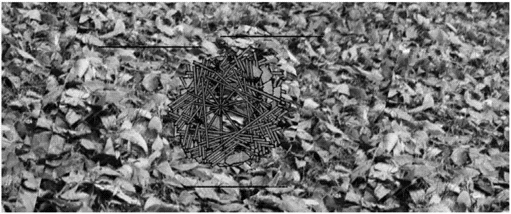 Small animal habitat module and building method thereof