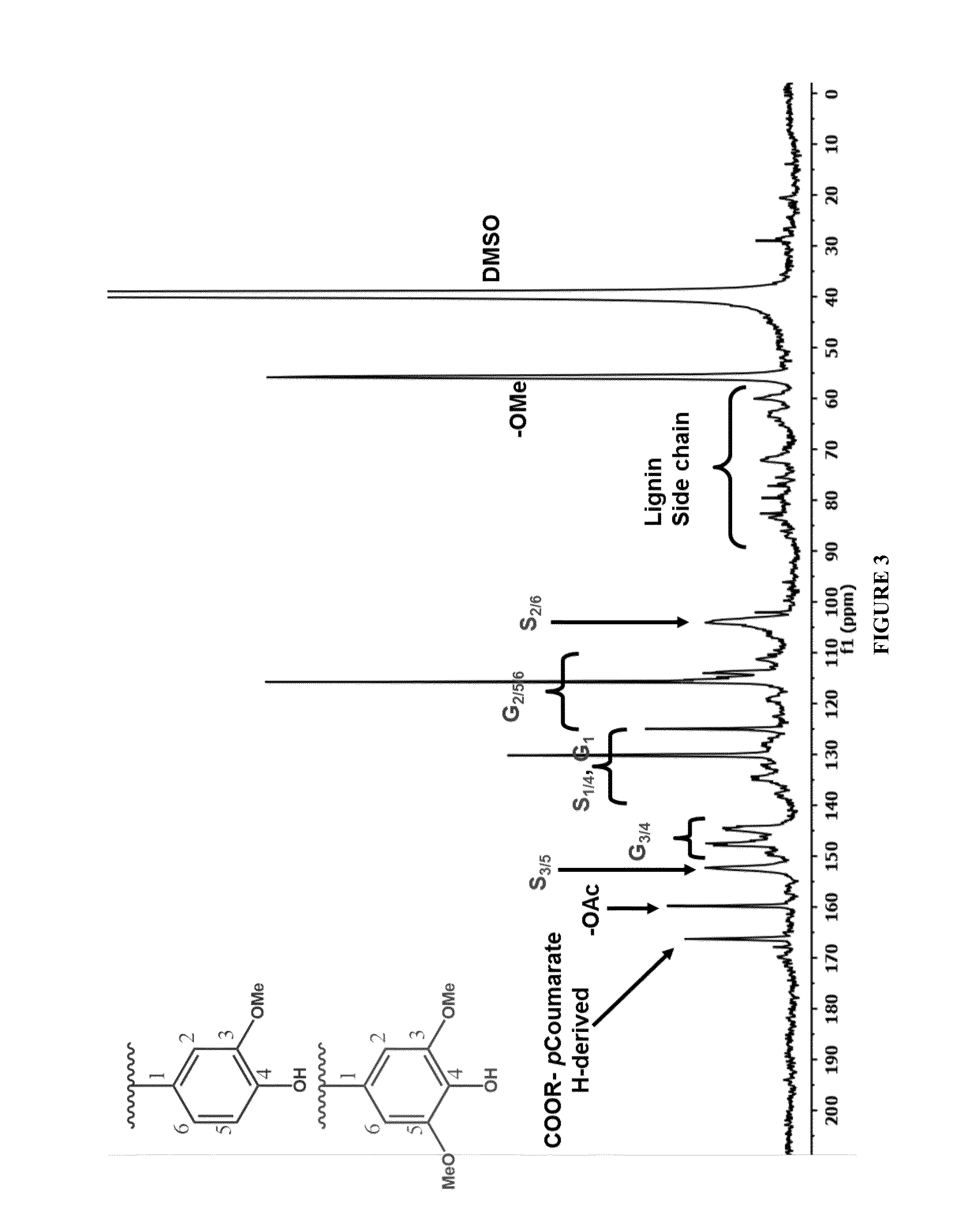 Lignin Derivatives