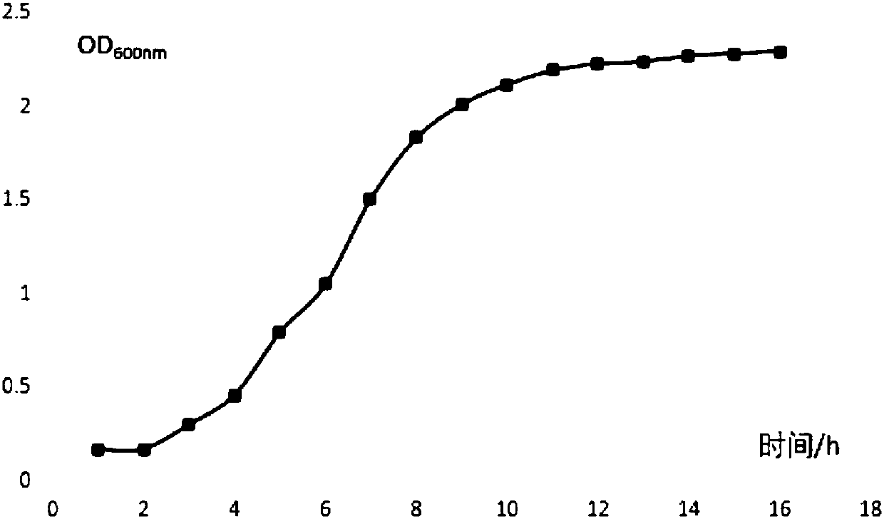 Lactobacillus plantarum and application thereof in fruit enzyme product