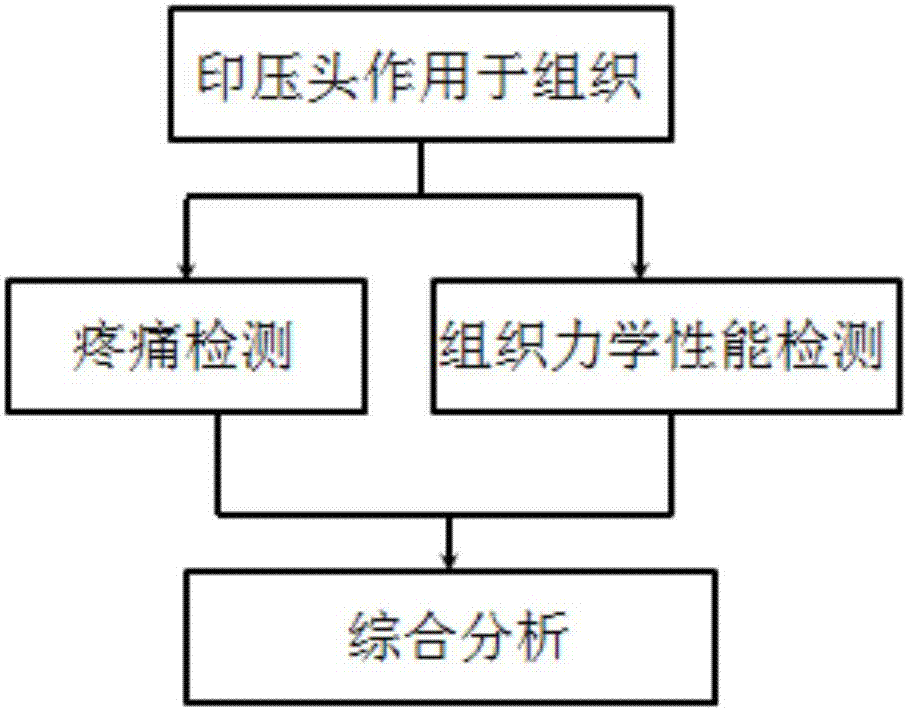 Tissue pain grading method and tissue pain grading device