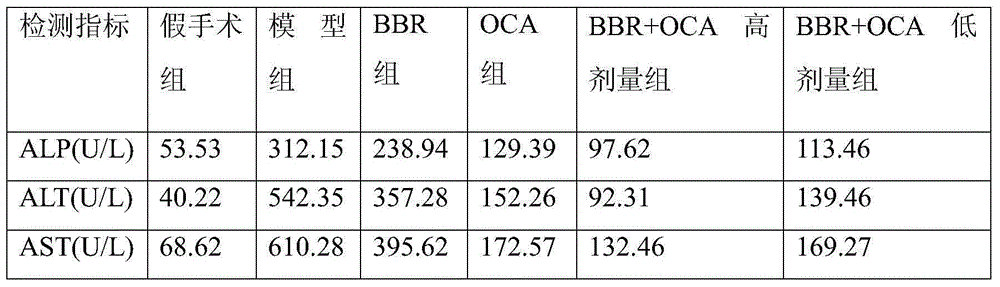 Compound composition of obeticholic acid and berberine and applications thereof