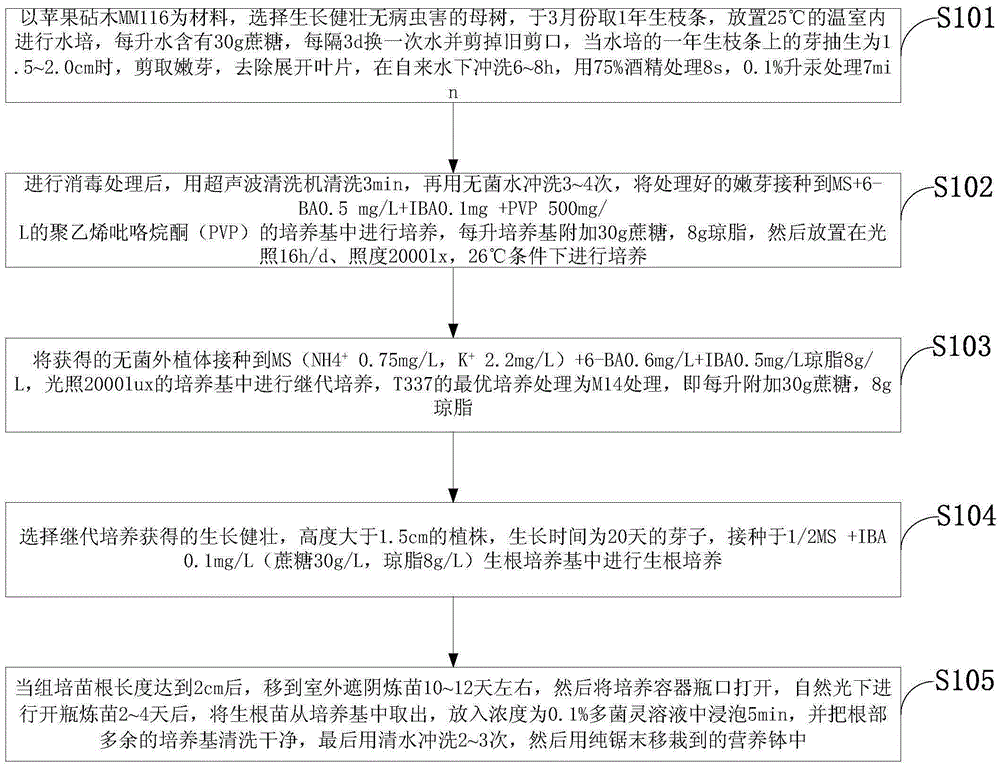 A method for tissue culture and rapid propagation of apple rootstock mm116