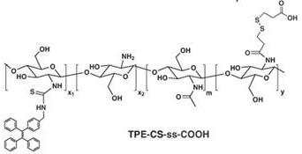 Preparation method of a reduction-responsive water-soluble chitosan-based aggregation-induced luminescent fluorescent probe